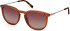 Timberland TB9291-H sunglasses in Shiny Dark Brown/Brown Polarized