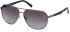 Timberland TB9298 sunglasses in Shiny Dark Nickeltin/Smoke Polarized