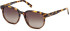 Timberland TB9305-H sunglasses in Blonde Havana/Brown Polarized
