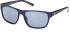 Timberland TB9296 sunglasses in Shiny Blue/Smoke Polarized