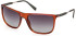 Timberland TB9281 sunglasses in Shiny Dark Brown/Green Polarized