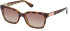 Guess GU7869 sunglasses in Dark Havana/Brown Polarized