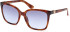 Guess GU7865 sunglasses in Blonde Havana/Gradient Blue