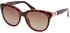 Guess GU7850 sunglasses in Dark Havana/Brown Polarized