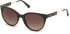 Guess GU7619 sunglasses in Dark Havana/Gradient Brown