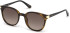 Guess GU7550 sunglasses in Dark Havana/Gradient Brown