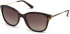 Guess GU7469 sunglasses in Dark Havana/Gradient Brown