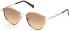 Guess GU5205 sunglasses in Gold/Gradient Brown