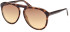 Guess GU00058 sunglasses in Dark Havana/Gradient Brown
