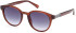 Guess GU00040 sunglasses in Shiny Light Brown/Gradient Blue
