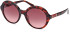Gant GA8094 sunglasses in Red Havana/Gradient Bordeaux