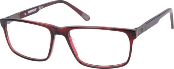 CAT CTO-3013 glasses in Gloss Burgundy