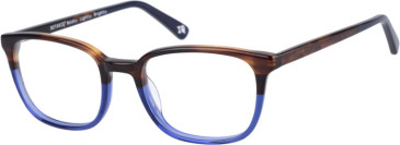 Botaniq BIO-1022 glasses in Tortoise Blue Fade