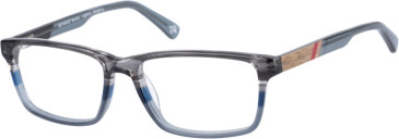 Botaniq BIO-1024 glasses in Grey Horn Wood