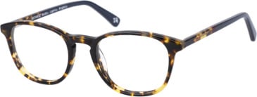 Botaniq BIO-1028 glasses in Tortoise Red Navy