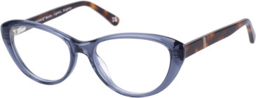 Botaniq BIO-1032 glasses in Navy Wood