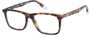 O'Neill ONB-4011 glasses in Gloss Tortoise