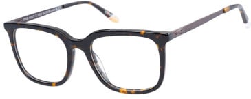 O'Neill ONB-4017 glasses in Tortoise Brown
