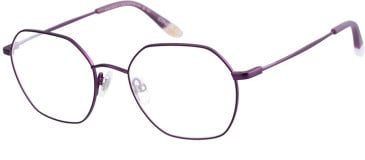 O'Neill ONB-4034 glasses in Matt Purple