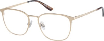 Superdry SDO-2018 glasses in Gold