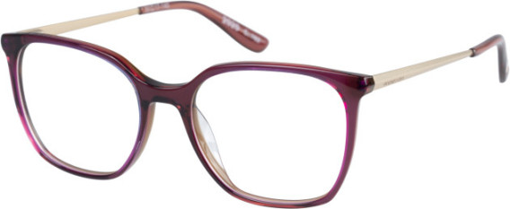 Superdry SDO-2020 glasses in Burgundy Tan