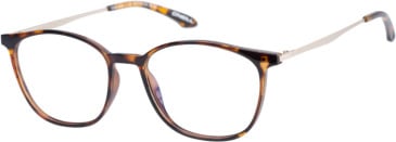 O'Neill ONO-4530 glasses in Gloss Tortoise Gold