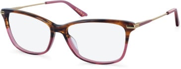 Episode EPO-295 glasses in Brown/Rose