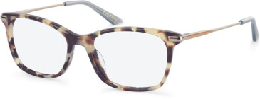 Episode EPO-292 glasses in Tortoise