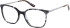 Superdry SDO-2020 glasses in Black Tortoise