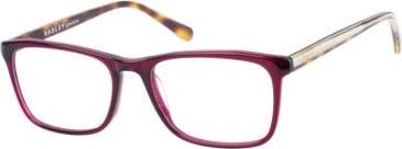 Radley RDO-6010 glasses in Purple Tortoise