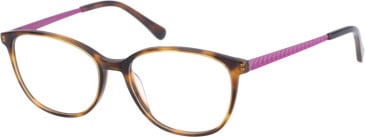Radley RDO-6009 glasses in Tortoise Purple