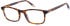 O'Neill ONB-4022 glasses in Gloss Tortoise