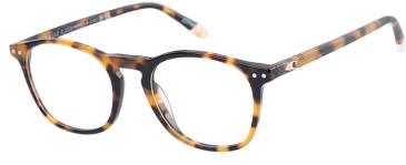 O'Neill ONB-4012 glasses in Gloss Tortoise
