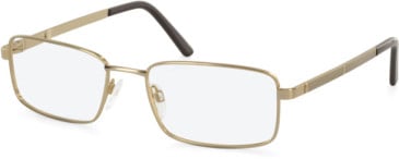 Hero For Men HRO-4248-54 glasses in Gold