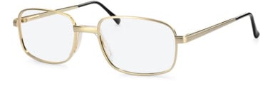 Hero For Men HRO-4017-50 glasses in Gold