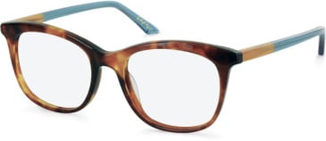 Episode EPO-293 glasses in Tortoise