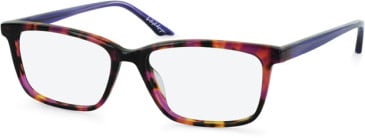 Episode EPO-284 glasses in Pink/Purple