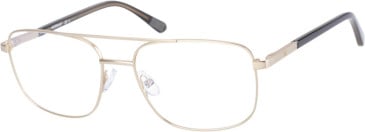 CAT CTO-3016 glasses in Matt Gold