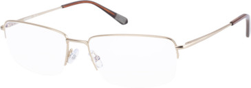 CAT CTO-3010 glasses in Matt Gold