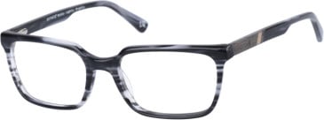 Botaniq BIO-1025 glasses in Black Horn Wood