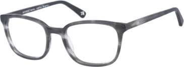 Botaniq BIO-1022 glasses in Grey Horn