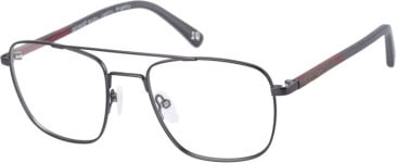 Botaniq BIO-1019 glasses in Gun Bamboo