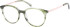 Radley RDO-6014 glasses in Green Horn