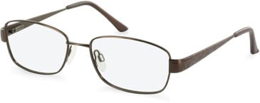 SFE-11053 glasses in Bronze