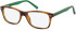 SFE-11080 glasses in Tortoiseshell Green