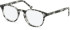 SFE-11104 glasses in Grey