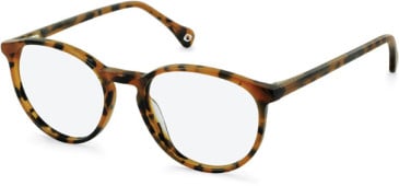 SFE-11109 glasses in Tortoiseshell