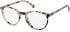 SFE-11109 glasses in Blush