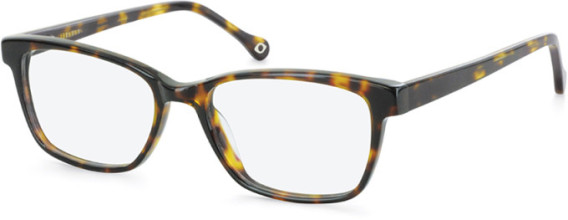 SFE-11106 glasses in Tortoiseshell