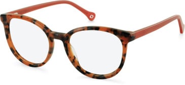 SFE-11110 glasses in Coral